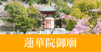 蓮華院御廟