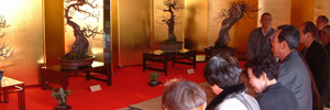 盆梅展