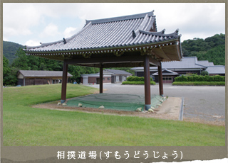 相撲道場