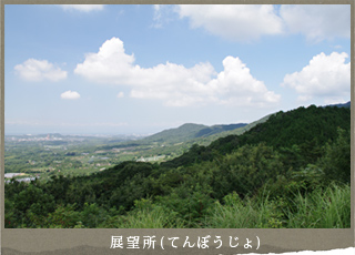 展望所