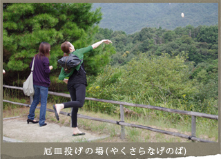 厄皿投げの場