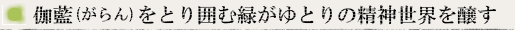 伽藍(がらん)をとり囲む緑がゆとりの精神世界を醸す