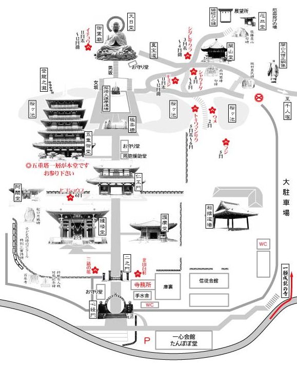 境内地図
